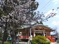 櫻谷神社(福井県)