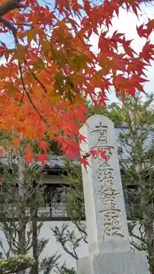 衣笠常修寺(京都府)