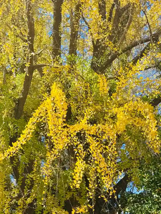 三栖神社(京都府)