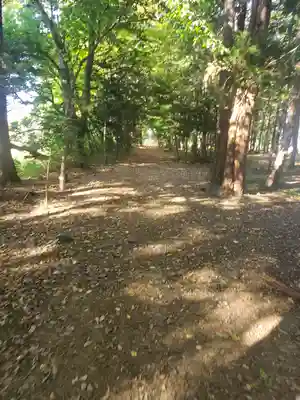 鹿島神社(茨城県)