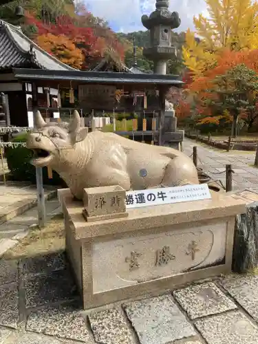 三室戸寺(京都府)