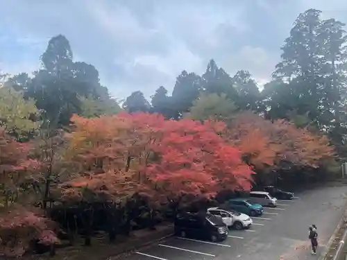 英彦山豊前坊高住神社(福岡県)