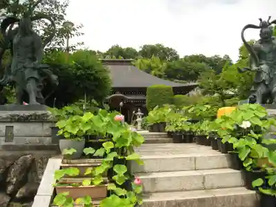 光明寺の本殿・本堂