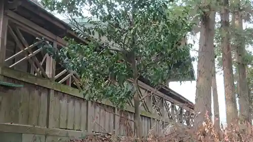 加茂別雷神社の本殿・本堂