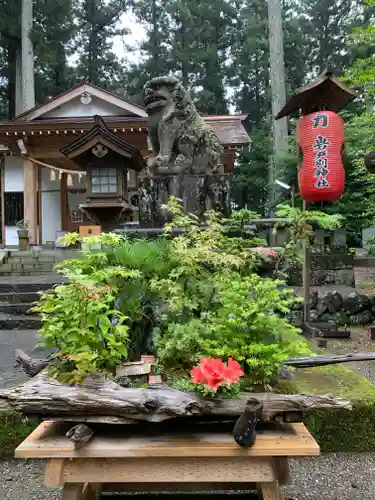 岩戸別神社の狛犬