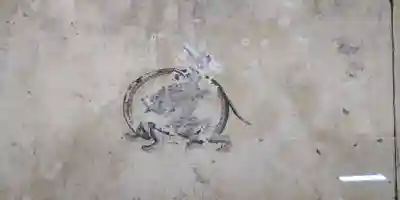 於美阿志神社(奈良県)