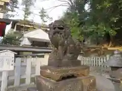 吉田神社の狛犬