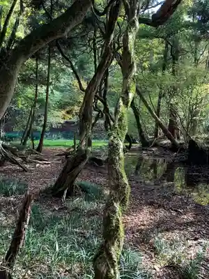 丸池神社(山形県)