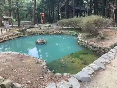 大麻比古神社(徳島県)