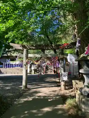 下野 星宮神社の{uncategorized: "未分類", other: "その他", undefined: "問題あり", building: "その他建物", grave: "お墓", sacred_gate: "鳥居", guardian: "狛犬", statue: "像", buddha: "仏像", history: "歴史", nature: "自然", garden: "庭園", animal: "動物", pagoda: "塔", temizu: "手水舎", mountain_gate: "山門・神門", sanctuary: "本殿・本堂", subordinate: "末社・摂社", art: "芸術", scenery: "景色", jizo: "地蔵", ema: "絵馬", goshuin: "御朱印", omikuji: "おみくじ", items: "授与品その他", amulet: "お守り", goshuincho: "御朱印帳", eats: "食事", festival: "お祭り", votive_dance: "神楽", shichigosan: "七五三参", wedding: "結婚式", experience: "体験その他", initially: "初詣", around: "周辺", anti_infection: "感染症対策"}