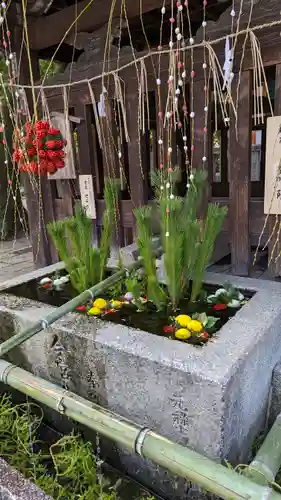 今宮神社(京都府)