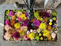 札幌諏訪神社の手水舎