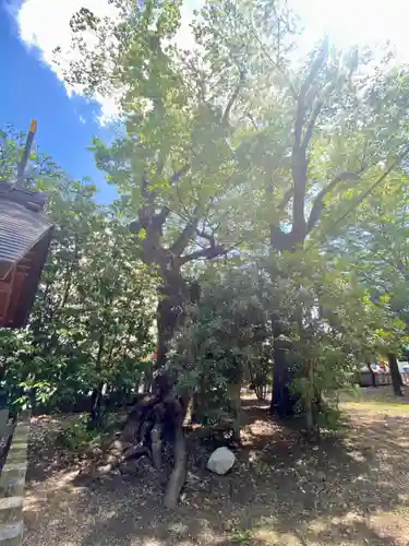 伏見稲荷大社御旅所の自然