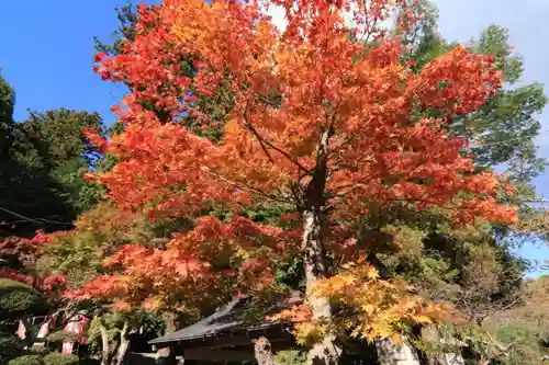 鹿島大神宮の庭園