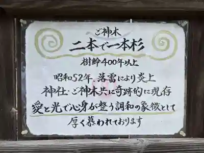 鹿嶋三嶋神社(茨城県)