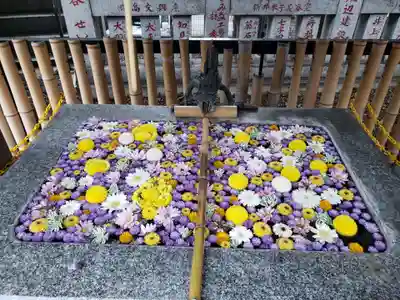 高円寺氷川神社(東京都)