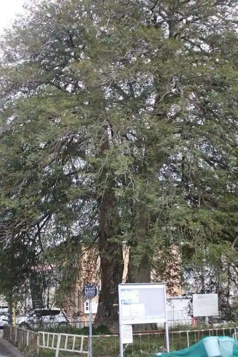 東昌寺(宮城県)