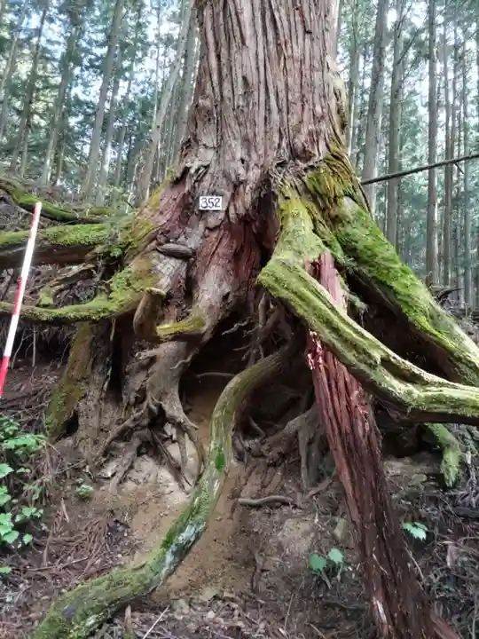 武蔵御嶽神社の周辺