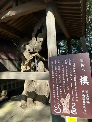 鶴嶺八幡宮の{uncategorized: "未分類", other: "その他", undefined: "問題あり", building: "その他建物", grave: "お墓", sacred_gate: "鳥居", guardian: "狛犬", statue: "像", buddha: "仏像", history: "歴史", nature: "自然", garden: "庭園", animal: "動物", pagoda: "塔", temizu: "手水舎", mountain_gate: "山門・神門", sanctuary: "本殿・本堂", subordinate: "末社・摂社", art: "芸術", scenery: "景色", jizo: "地蔵", ema: "絵馬", goshuin: "御朱印", omikuji: "おみくじ", items: "授与品その他", amulet: "お守り", goshuincho: "御朱印帳", eats: "食事", festival: "お祭り", votive_dance: "神楽", shichigosan: "七五三参", wedding: "結婚式", experience: "体験その他", initially: "初詣", around: "周辺", anti_infection: "感染症対策"}