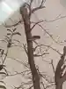 のびこさんのプロフィール画像