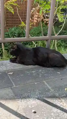 石切劔箭神社(大阪府)