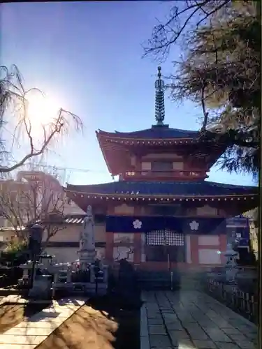 新井薬師（梅照院）(東京都)