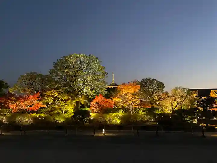 東寺(教王護国寺)(京都府)