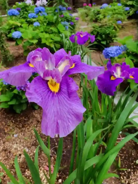 磐井神社(東京都)