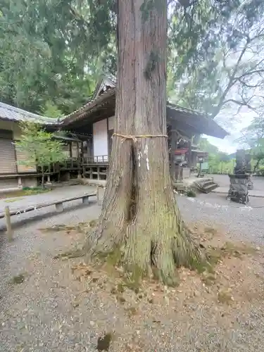 白瀧神社(群馬県)