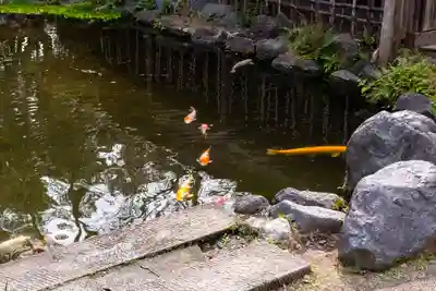 富知六所浅間神社(静岡県)