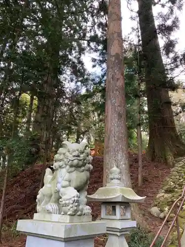 須山浅間神社の狛犬