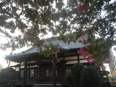 本興寺の本殿・本堂