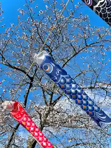 伊達神社(北海道)(2023年04月25日(火) 19時00分22秒投稿)