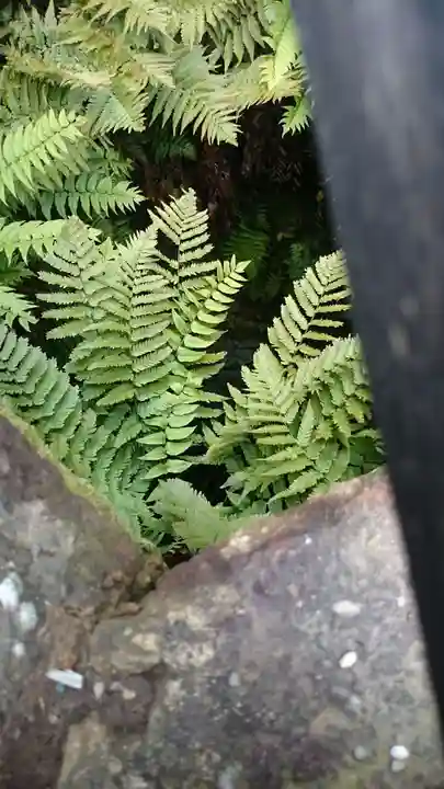 眞田神社のその他建物