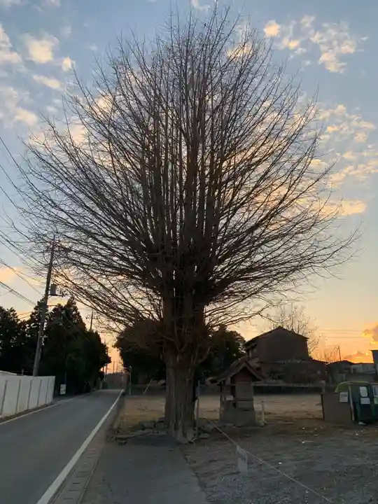 稲荷神社(千葉県)