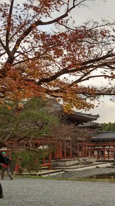平等院(京都府)