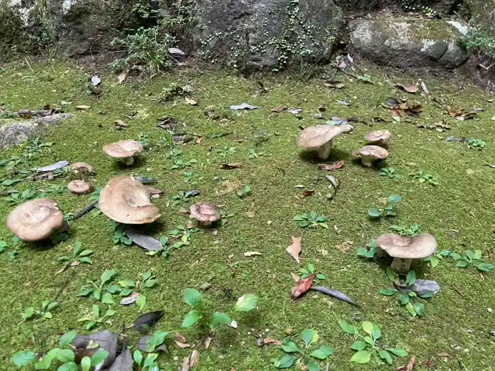 西山神社(京都府)