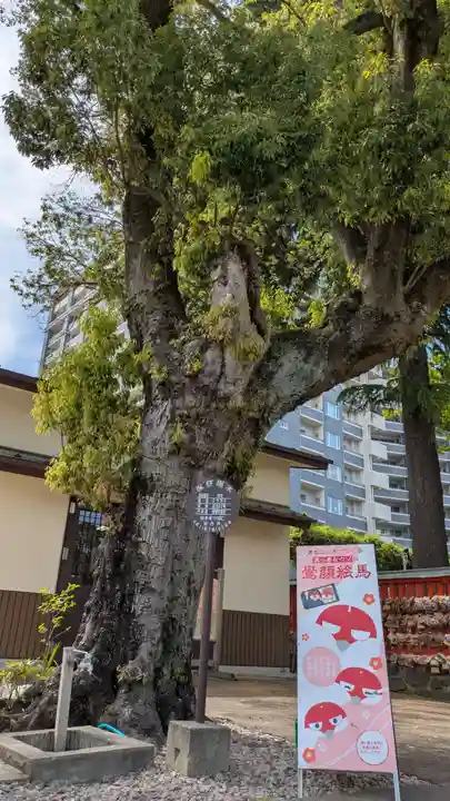 榴岡天満宮(宮城県)