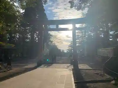 霧島神宮の鳥居