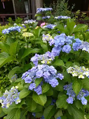本郷氷川神社(東京都)