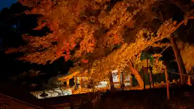 出雲大神宮(京都府)