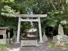 酒井神社の鳥居