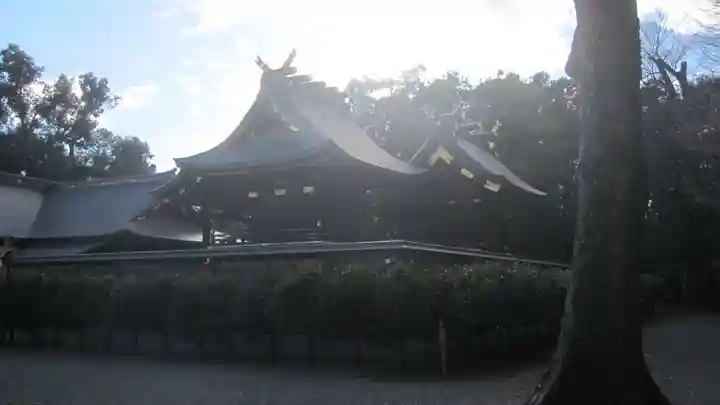 鷲宮神社(埼玉県)