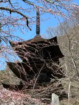 国宝 大法寺(長野県)
