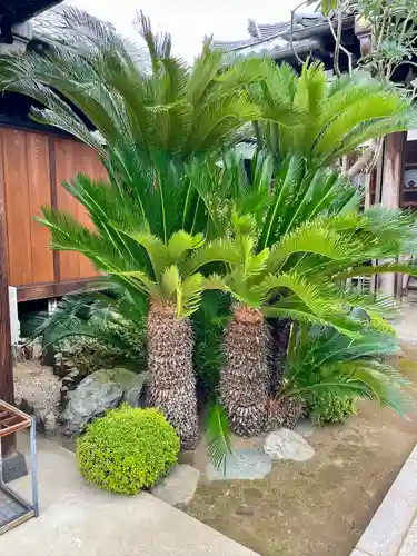 大泉寺(東京都)