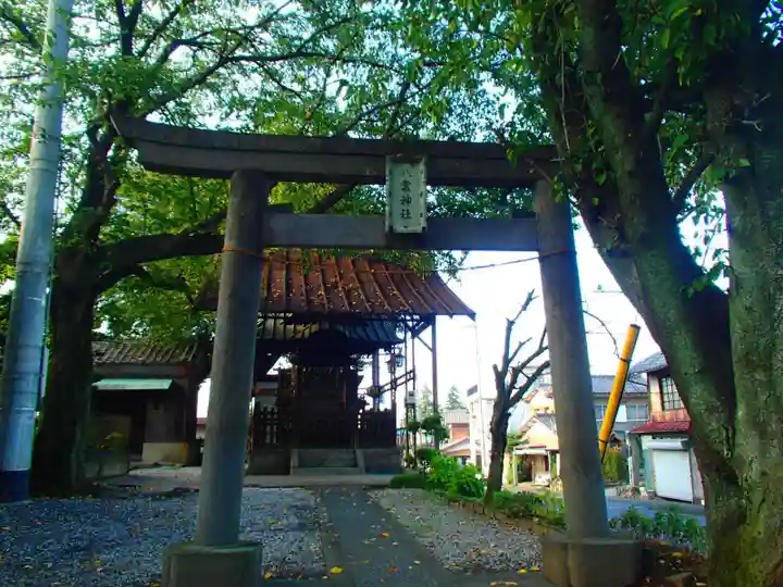 八雲神社(松山神社 境外末社)の鳥居