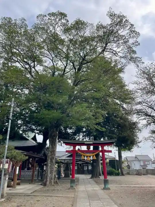 本宿天神社の{uncategorized: "未分類", other: "その他", undefined: "問題あり", building: "その他建物", grave: "お墓", sacred_gate: "鳥居", guardian: "狛犬", statue: "像", buddha: "仏像", history: "歴史", nature: "自然", garden: "庭園", animal: "動物", pagoda: "塔", temizu: "手水舎", mountain_gate: "山門・神門", sanctuary: "本殿・本堂", subordinate: "末社・摂社", art: "芸術", scenery: "景色", jizo: "地蔵", ema: "絵馬", goshuin: "御朱印", omikuji: "おみくじ", items: "授与品その他", amulet: "お守り", goshuincho: "御朱印帳", eats: "食事", festival: "お祭り", votive_dance: "神楽", shichigosan: "七五三参", wedding: "結婚式", experience: "体験その他", initially: "初詣", around: "周辺", anti_infection: "感染症対策"}