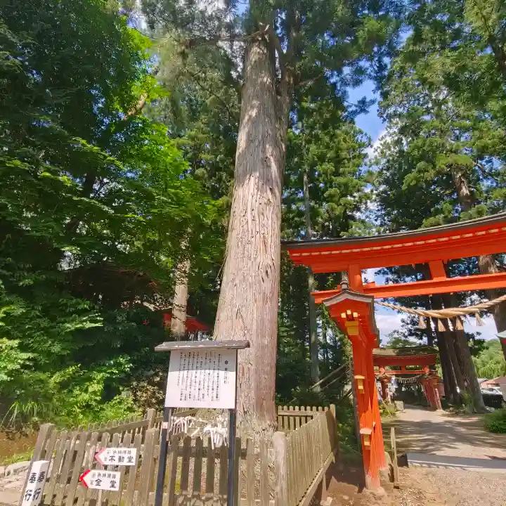 達谷西光寺(岩手県)