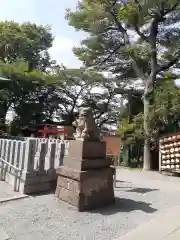 星川杉山神社の狛犬