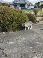 一心寺・一心禅寺(愛知県)